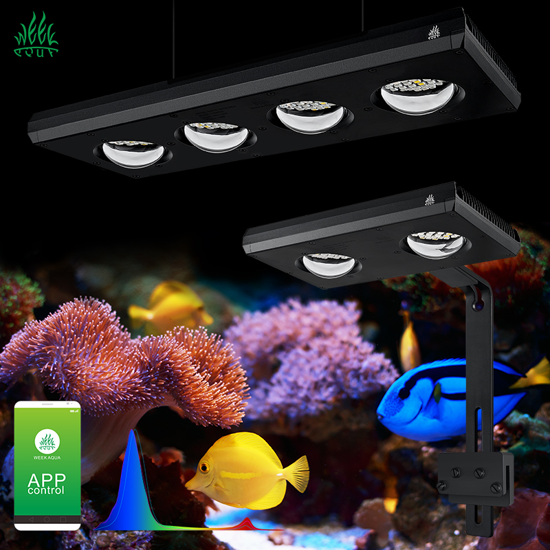 Aquarium Marine Blue - ZXY Hot Sale WEEKAQUA Z250 Z400sea