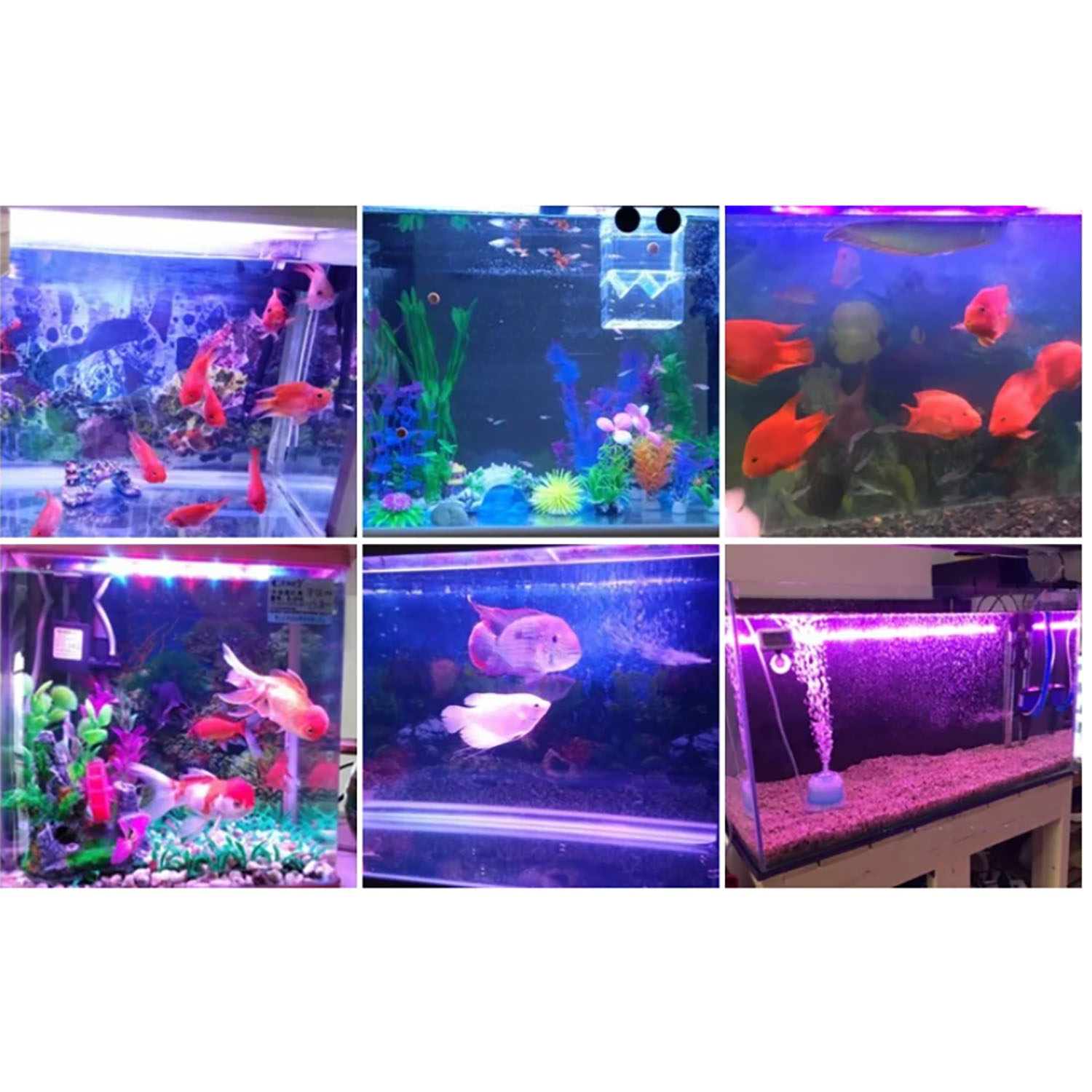 Aquarium Marine Blue - 50W 60W 70W 100W RGB 26-28V