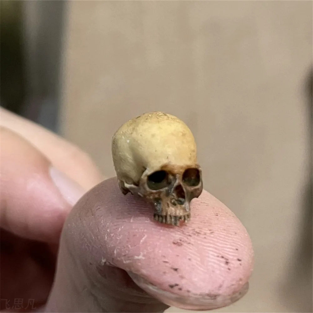 Aquarium Marine Plants - Mini Skull High Quality Miniature Model