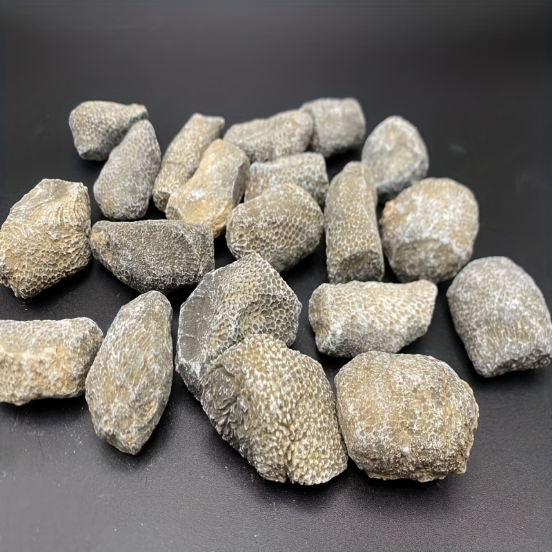 Aquarium Marine Rock - 1pc Natural Coral Rock Suitable for