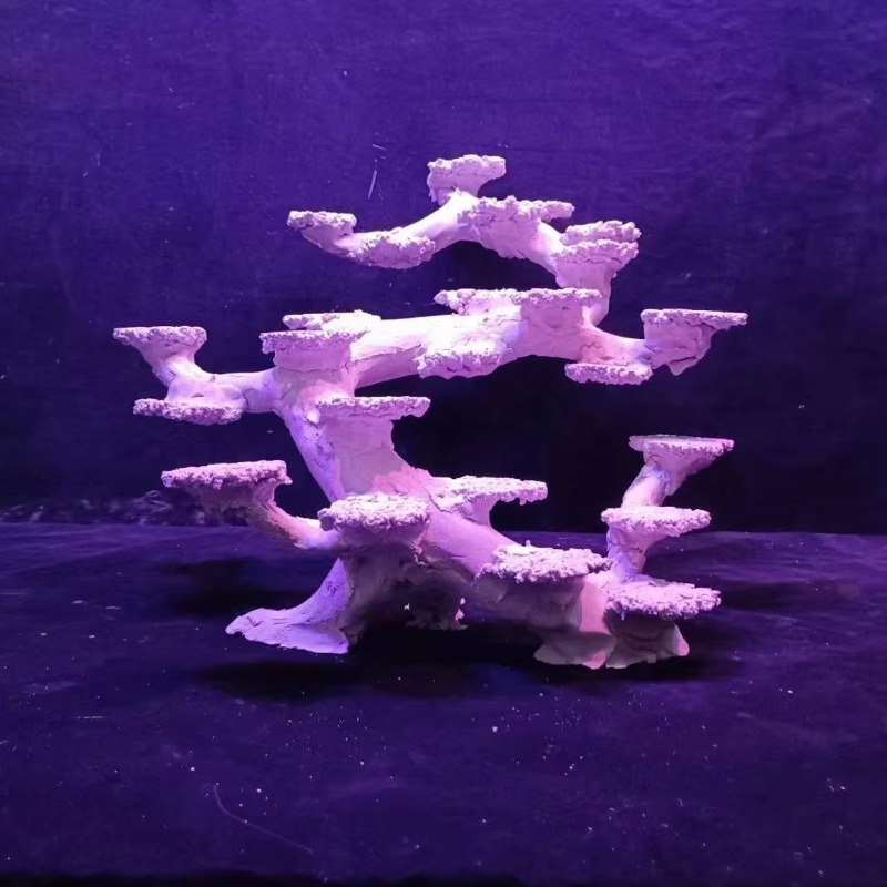 Aquascaping Saltwater Aquarium - Aquarium Marine Rock 评论和价格