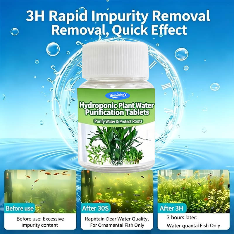 Hydroponic Water Purification  - Aquarium Marine Plants 评论和价格