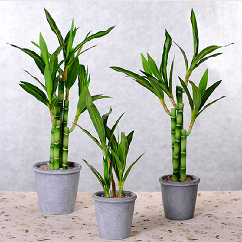 New 40cm rFtificial Lucky Bamb - Aquarium Marine Plants 评论和价格