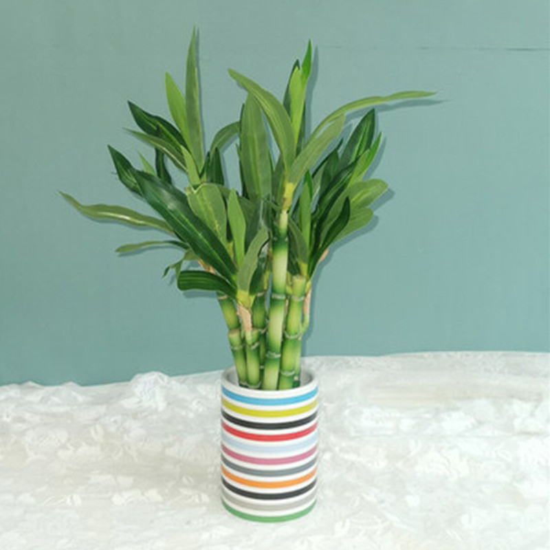 New 40cm rFtificial Lucky Bamb - Aquarium Marine Plants 评论和价格