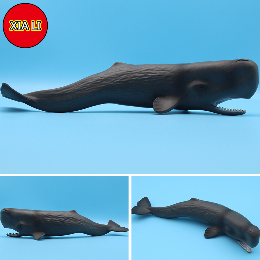 Ocean Sea Life Simulation Kill - Aquarium Marine Blue 评论和价格