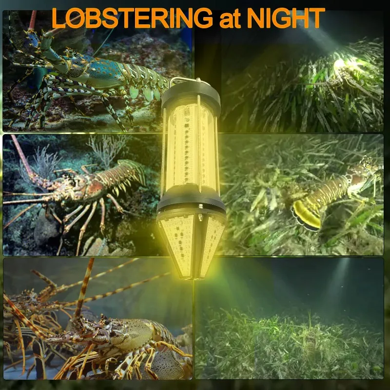 NS Green Blue White Yellow Out - Aquarium Marine Blue 评论和价格