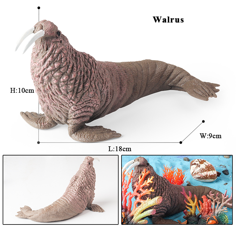 Oenux New Sea Life Seal Sea Li - Aquarium Marine Blue 评论和价格