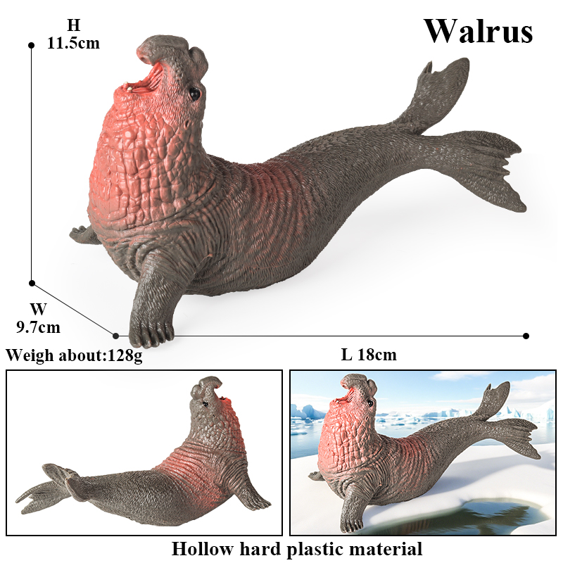 Oenux New Sea Life Seal Sea Li - Aquarium Marine Blue 评论和价格