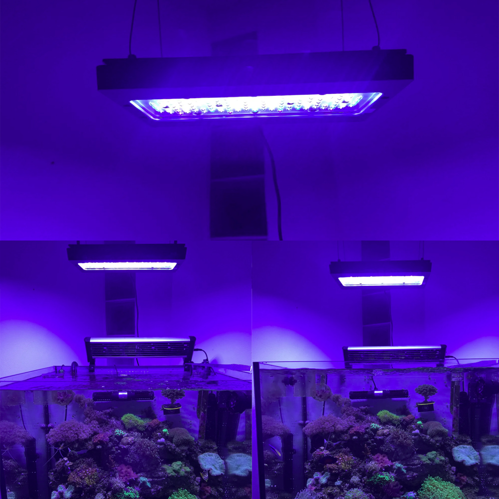 A8se Pro II MAX Blue 240W Mari - Aquarium Marine Blue 评论和价格