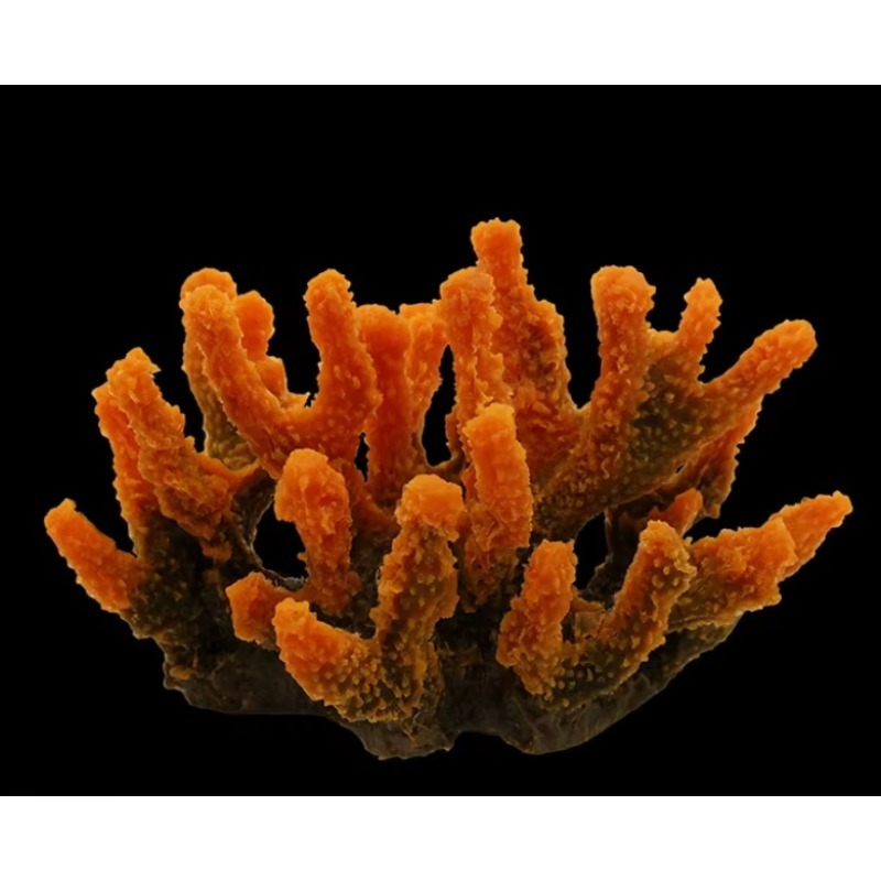 Artificial Resin Coral Reef Aq - Aquarium Marine Rock 评论和价格