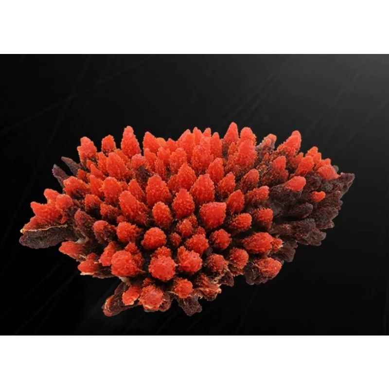 Artificial Resin Coral Reef Aq - Aquarium Marine Rock 评论和价格