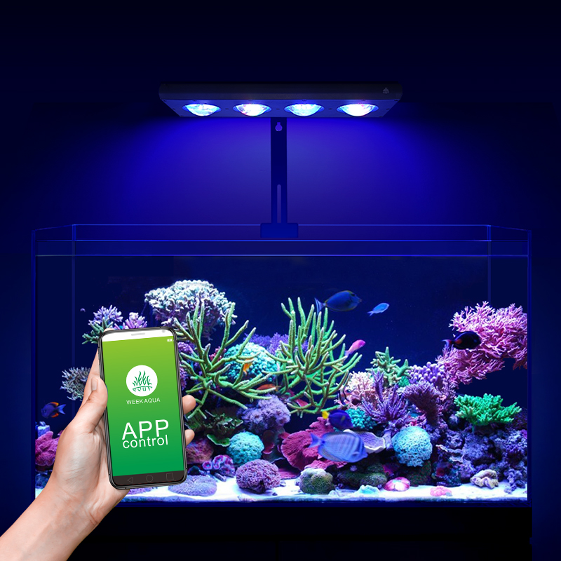 ZXY Hot Sale WEEKAQUA Z250 Z40 - Aquarium Marine Blue 评论和价格