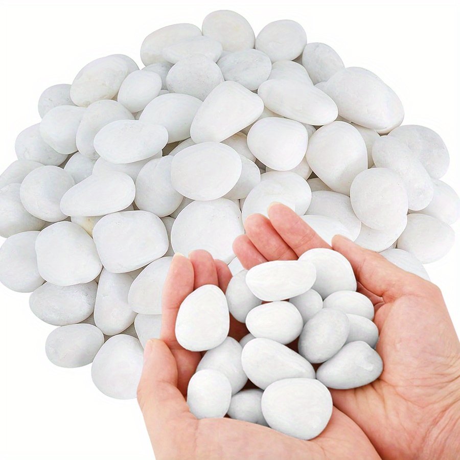 200/400g White High Polished N - Aquarium Marine Plants 评论和价格