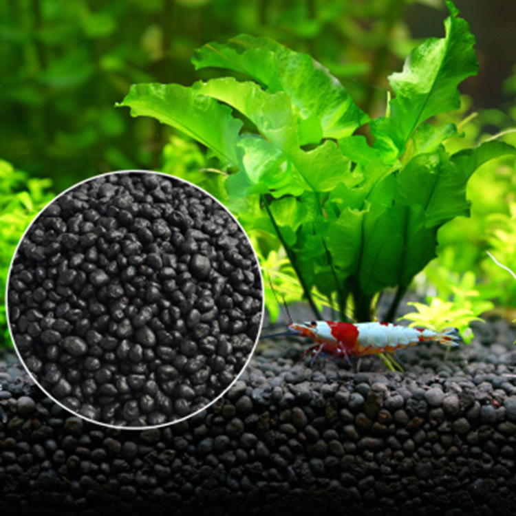 Aquarium Plant Seeds Soil Fish - Aquarium Marine Plants 评论和价格