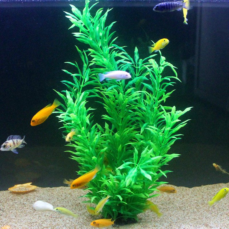 50CM Artificial Fish Tank Rare - Aquarium Marine Plants 评论和价格