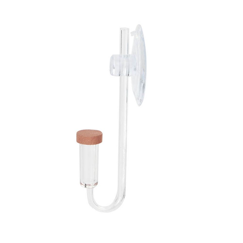 Acrylic Mini Fish Tank Live Pl - Aquarium Marine Plants 评论和价格