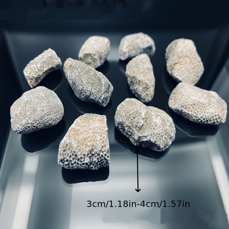 1pc Natural Coral Rock Suitabl - Aquarium Marine Rock 评论和价格
